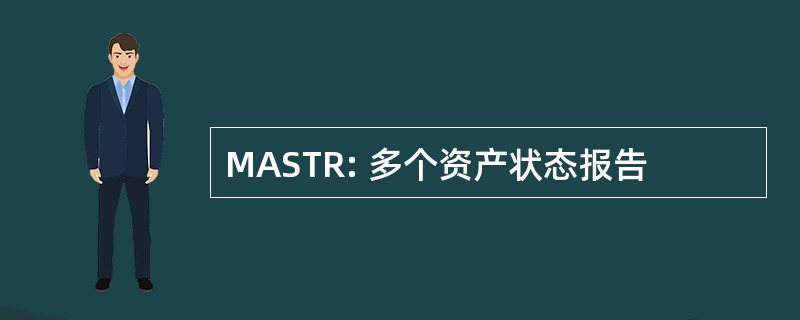 MASTR: 多个资产状态报告