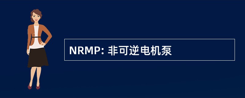 NRMP: 非可逆电机泵