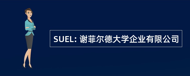 SUEL: 谢菲尔德大学企业有限公司