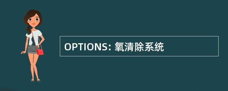 OPTIONS: 氧清除系统