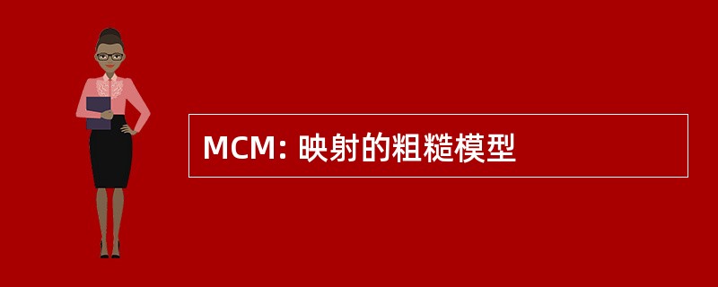 MCM: 映射的粗糙模型