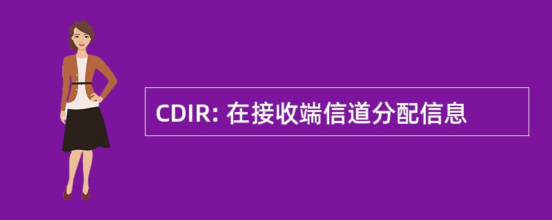 CDIR: 在接收端信道分配信息