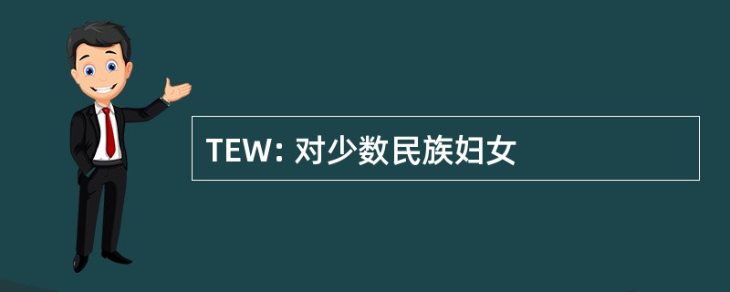 TEW: 对少数民族妇女