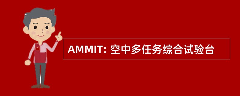 AMMIT: 空中多任务综合试验台