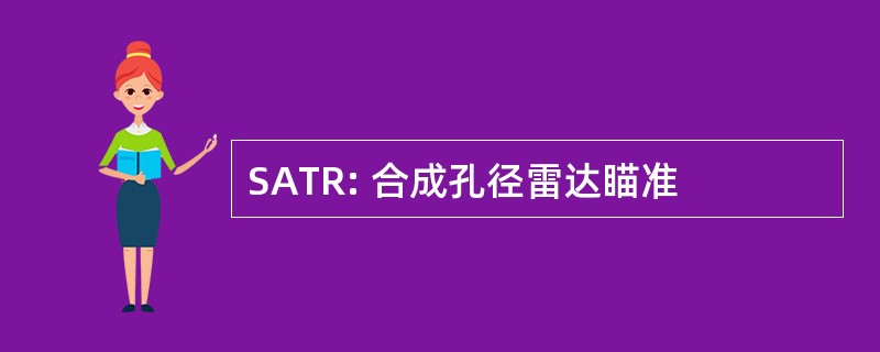 SATR: 合成孔径雷达瞄准