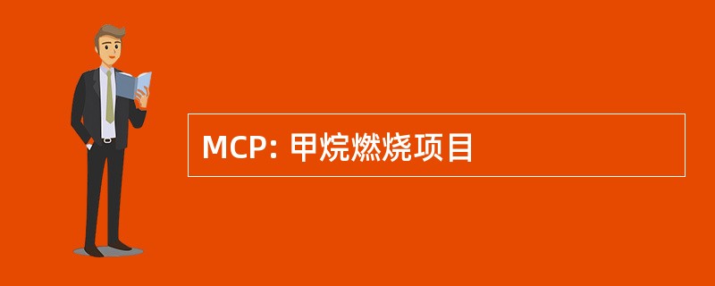 MCP: 甲烷燃烧项目