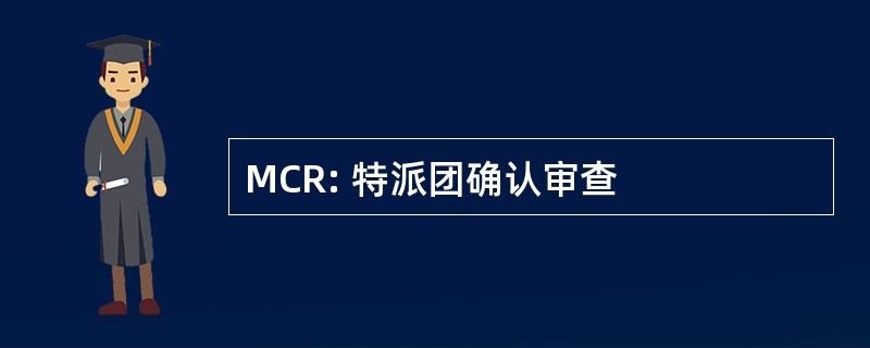 MCR: 特派团确认审查