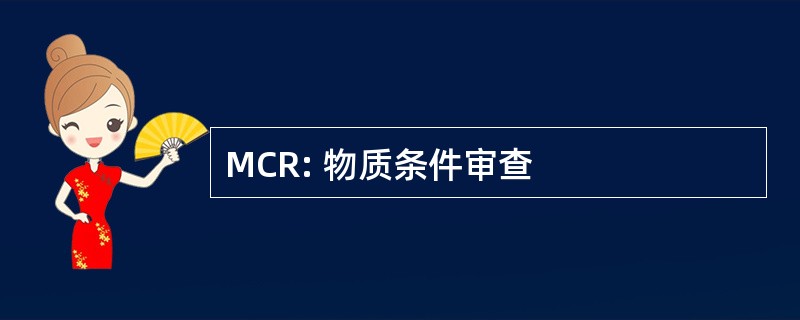 MCR: 物质条件审查