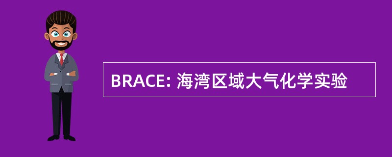 BRACE: 海湾区域大气化学实验