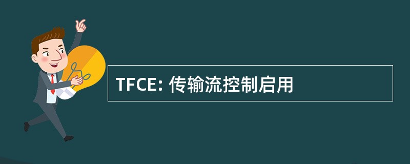 TFCE: 传输流控制启用