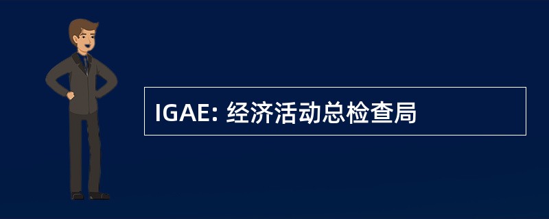 IGAE: 经济活动总检查局