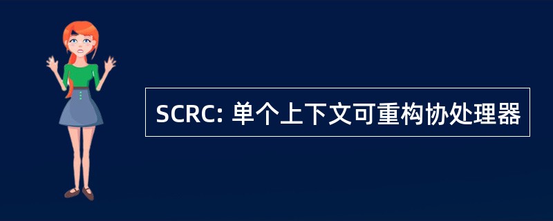 SCRC: 单个上下文可重构协处理器