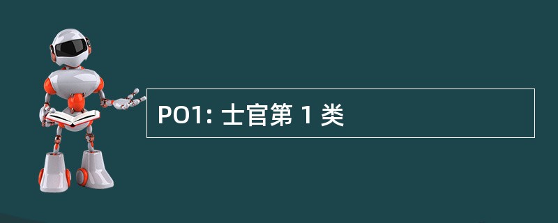 PO1: 士官第 1 类