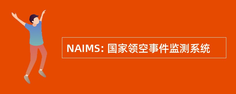 NAIMS: 国家领空事件监测系统