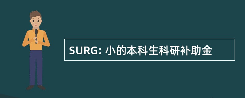 SURG: 小的本科生科研补助金