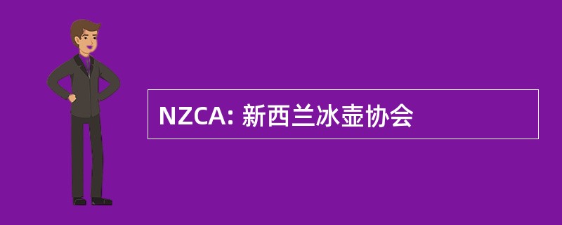 NZCA: 新西兰冰壶协会