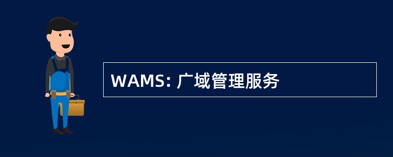 WAMS: 广域管理服务