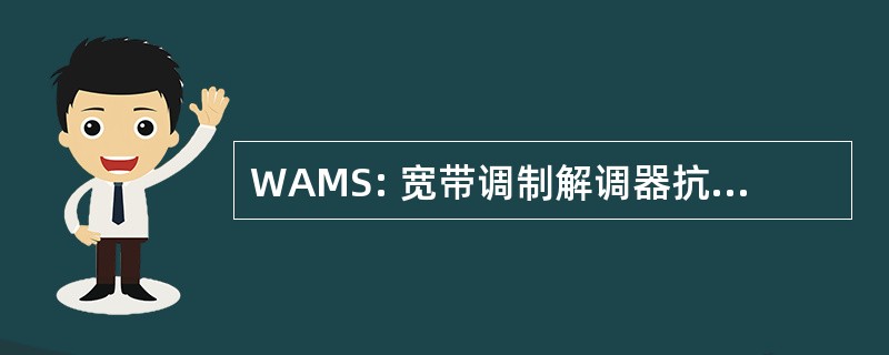 WAMS: 宽带调制解调器抗干扰系统