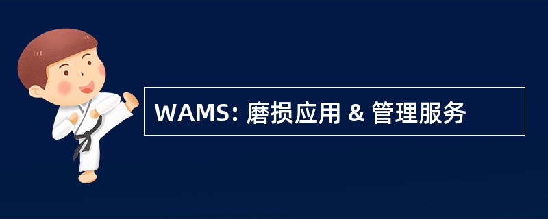 WAMS: 磨损应用 & 管理服务