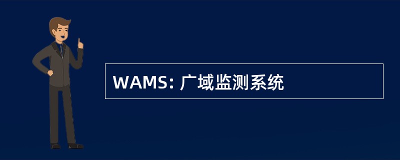 WAMS: 广域监测系统