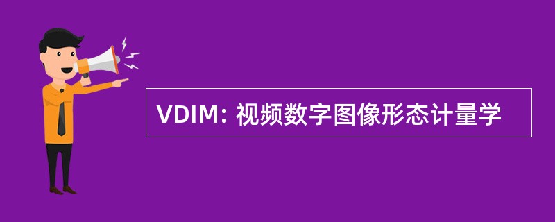 VDIM: 视频数字图像形态计量学