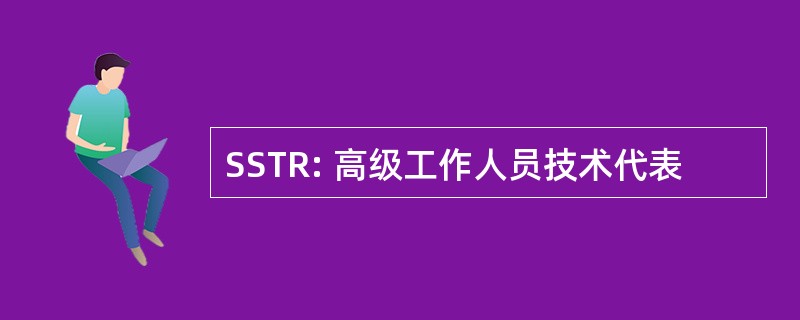 SSTR: 高级工作人员技术代表