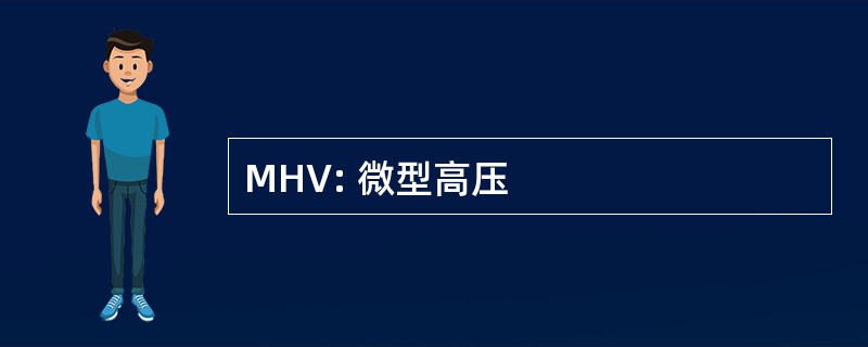 MHV: 微型高压