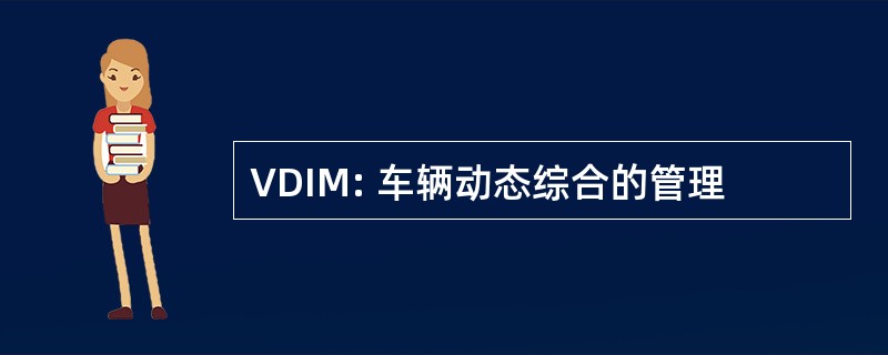 VDIM: 车辆动态综合的管理