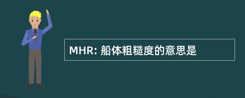 MHR: 船体粗糙度的意思是