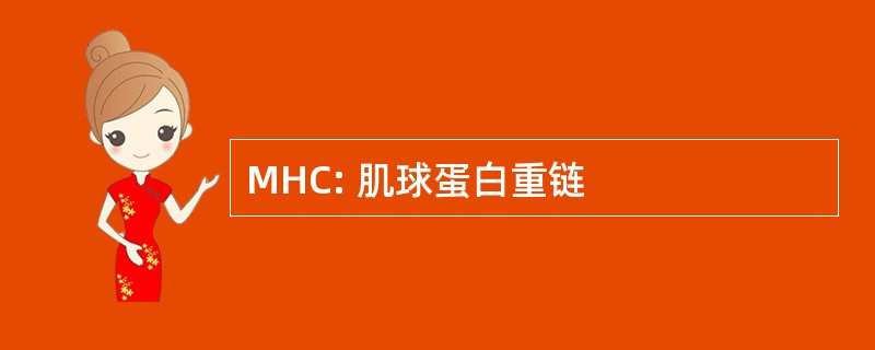 MHC: 肌球蛋白重链