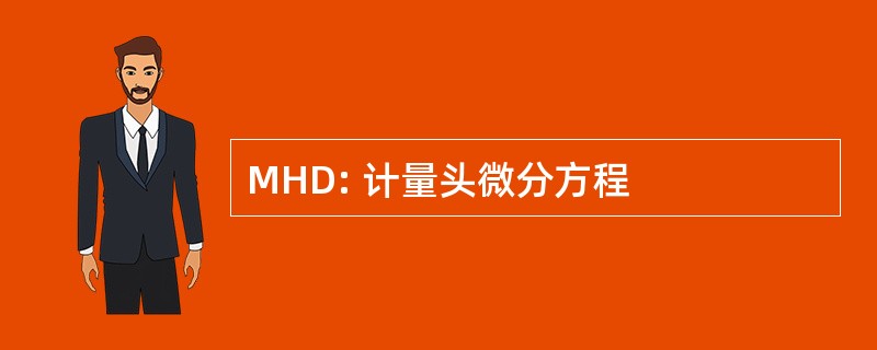 MHD: 计量头微分方程