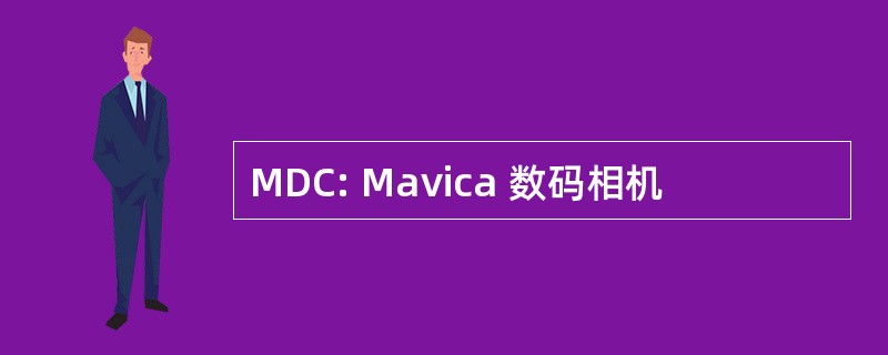 MDC: Mavica 数码相机