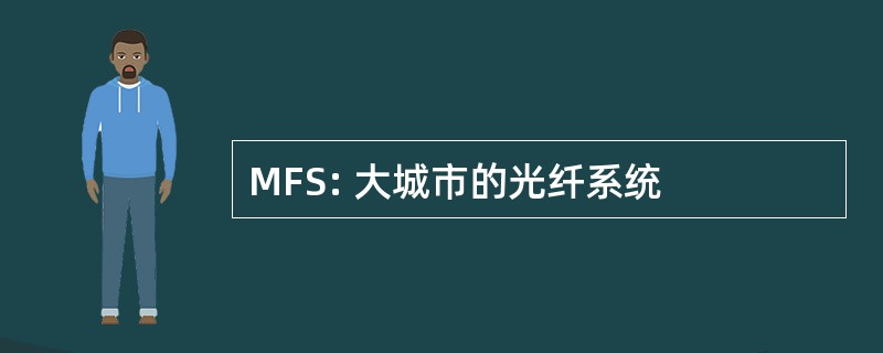 MFS: 大城市的光纤系统