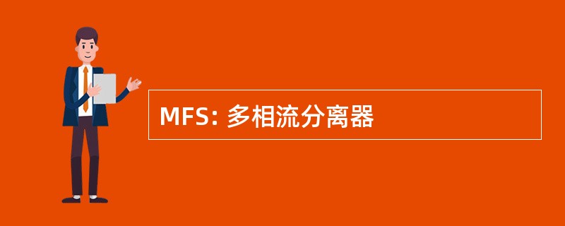 MFS: 多相流分离器