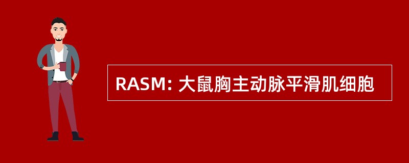 RASM: 大鼠胸主动脉平滑肌细胞