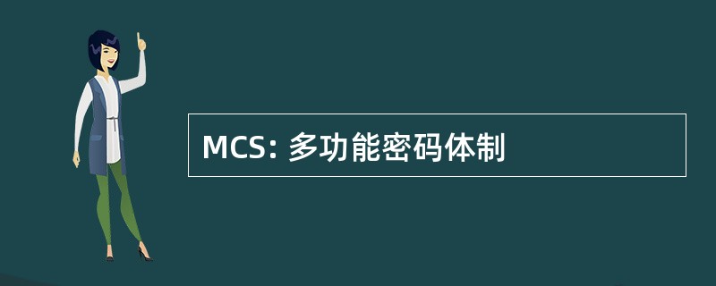 MCS: 多功能密码体制