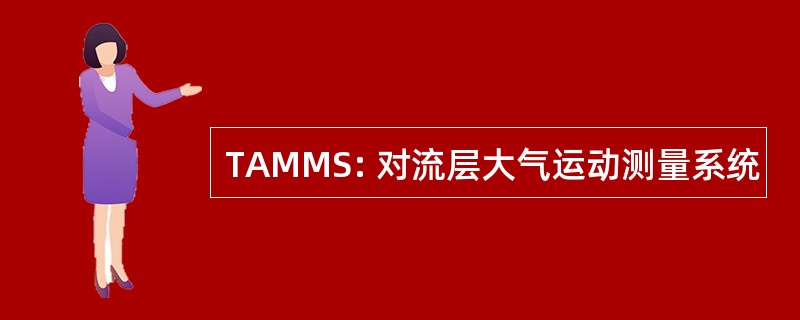 TAMMS: 对流层大气运动测量系统