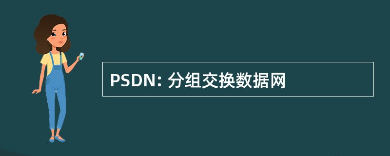 PSDN: 分组交换数据网