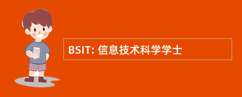 BSIT: 信息技术科学学士