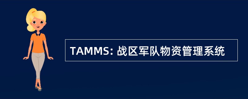 TAMMS: 战区军队物资管理系统