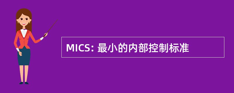 MICS: 最小的内部控制标准