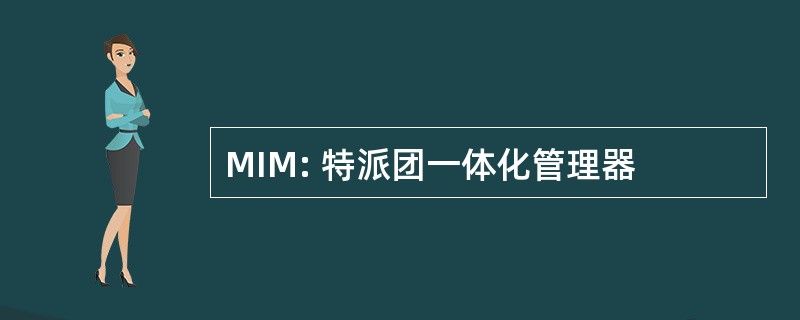 MIM: 特派团一体化管理器