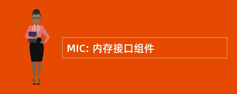 MIC: 内存接口组件