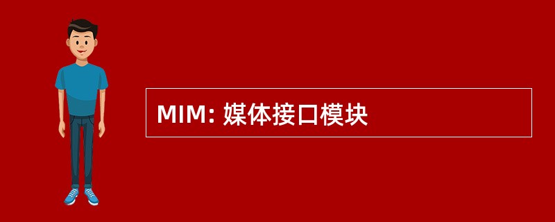 MIM: 媒体接口模块