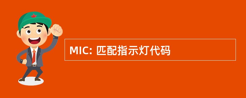 MIC: 匹配指示灯代码