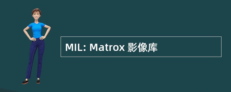 MIL: Matrox 影像库