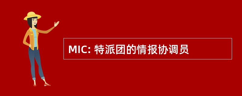 MIC: 特派团的情报协调员