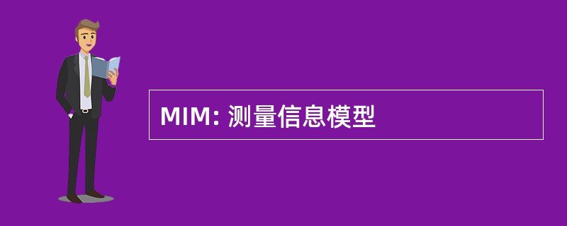 MIM: 测量信息模型