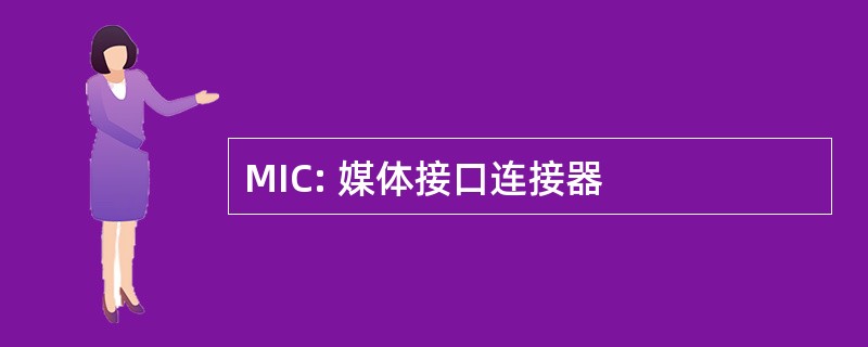 MIC: 媒体接口连接器