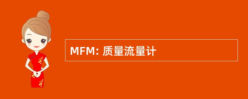 MFM: 质量流量计